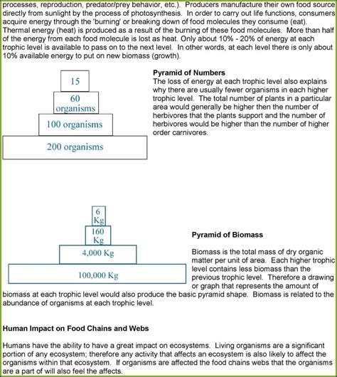 Electricity from a wall outlet has enough energy to stop your heart 7. Middle School Bill Nye Energy Worksheet Answers Worksheet ...