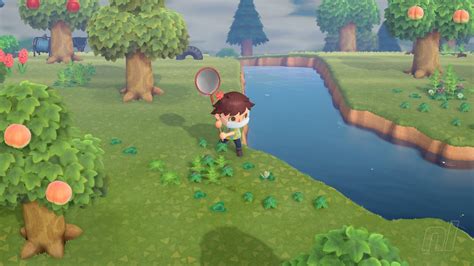 Animal Crossing New Horizons Bugs Complete Bug List Bug Tips