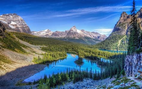 Nature Mountain Forest Landscape Fog Lake Ultrahd