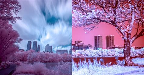 An Introduction To Digital Infrared Photography
