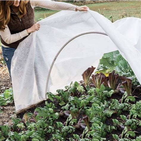 Frost Freeze Protections For Veggie Garden Plant Row Covers Greenhouse