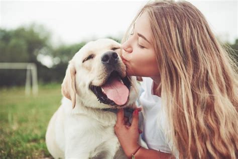 30 Dog Best Friend Quotes To Celebrate Your Bond Great Pet Living