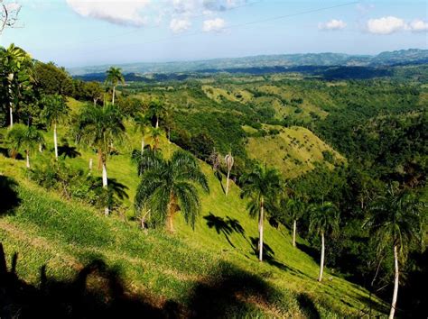 Landscape In The Dominican Republic Puerto Plata Dominican Republic