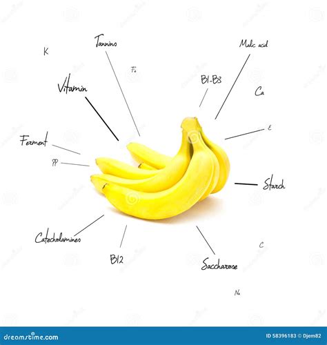 Nome Científico Da Banana Educabrilha