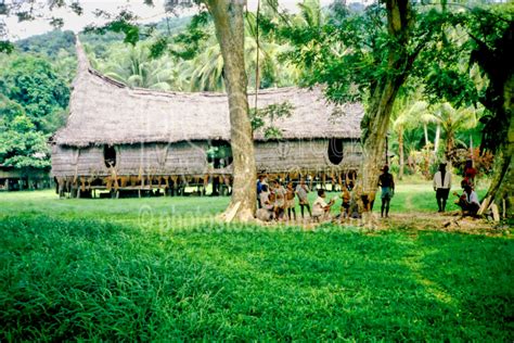 Photo Of Haus Tambaran By Photo Stock Source Building Wombum Village Sepik River Papua New