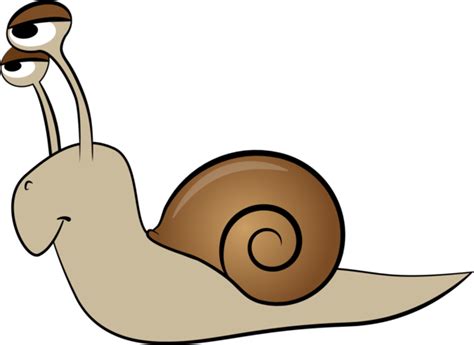 Snail Snails And Slugs Snail Clipart Snail Clipart Animals Clip Art