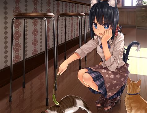 Animal Animal Ears Black Hair Blue Eyes Cat Catgirl Cropped Namamizu000