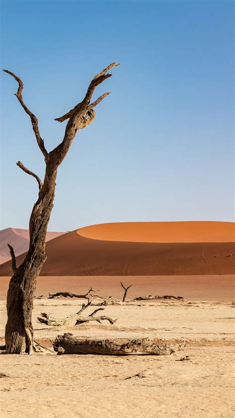 1080x1920 Desert Sand Dune Dunes 5k Iphone 76s6 Plus Pixel Xl One