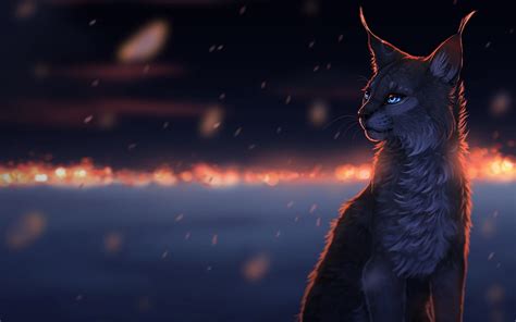 Jayfeather Warrior Cats Wallpapers Wallpaper Cave