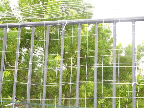 Electric invisible dog fences are one of the best solutions ever formulated, and most people will quickly find that they're a better alternative to their dog wandering off. This Is Beige: Kittytown, or Do it Yourself Cat Fencing