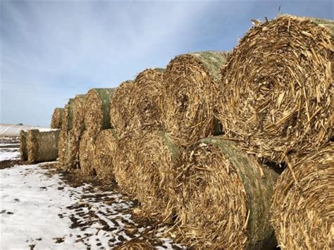 Qr code link to this post. 2017 Corn Stalk Bales BigIron Auctions