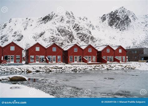 Traditional Norwegian Fisherman S Cabins Red Rorbuer Hamnoy Lofoten