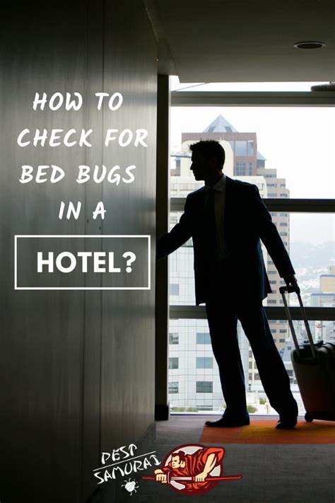 Bed Bugs In Hotel How To Check For Bed Bugs In A Hotel Bed Bugs
