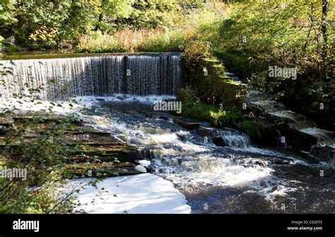 Birkacre Weir On The River Yarrow In The Yarrow Valley Country Park