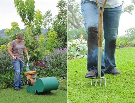 First test is to lay a wet towel, hessian bag or piece of carpet on the lawn overnight. Spring treatment of lawns - Tanya Visser