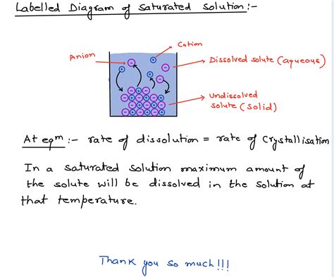 Solved Draw A Labeled Diagram Of A Saturated Solution Of An Ionic