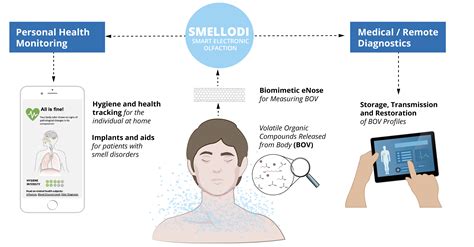 Background Smart Electronic Olfaction For Body Odor Diagnostics