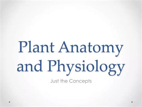 Ppt Plant Anatomy And Physiology Powerpoint Presentation Free