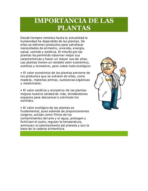 Importancia De Las Plantas