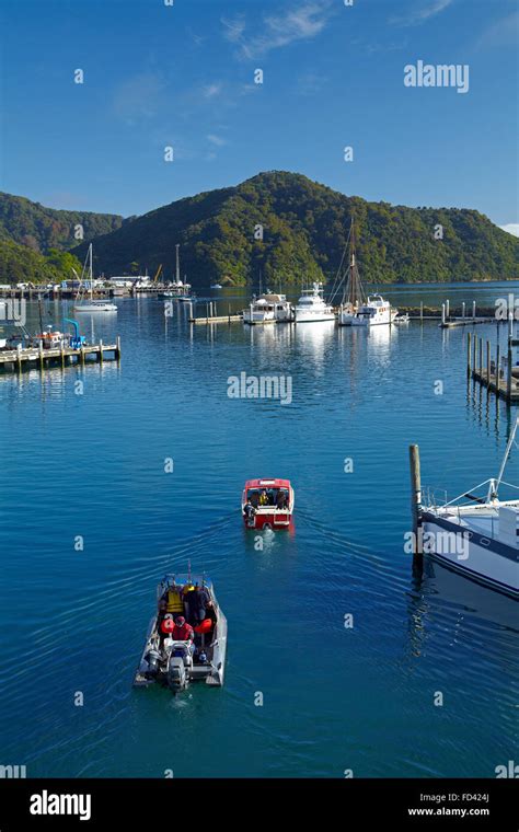 Boats And Marina Picton Marlborough Sounds South Island New Zealand