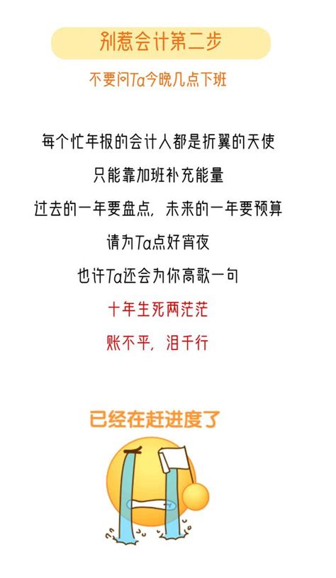 会计年度盘点神器 boss管账 知乎