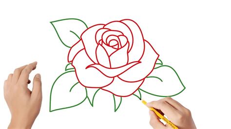 Pasos Para Dibujar Una Rosa