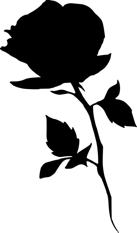 17 Rose Silhouette Png Transparent