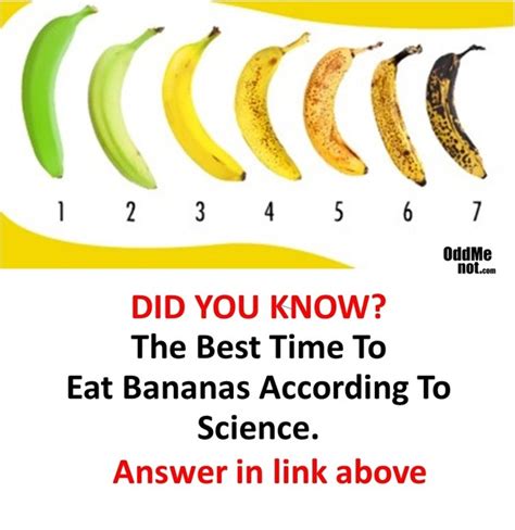Best Time To Eat Banana Before Or After Meal Banana Poster