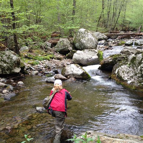 Mountain Trout Fly Fishing School In Shenandoah National Park Murray