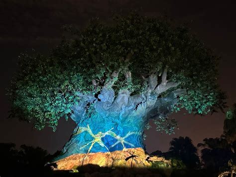 Photosvideo “avatar” Inspired Tree Of Life Awakening Show Debuts At