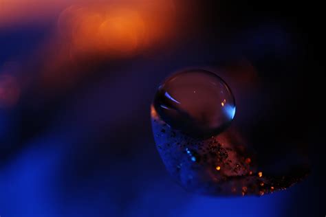 Free Images Water Droplet Drop Liquid Light Bokeh