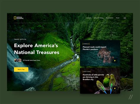 National Geographic Website Redesign Concept By Purrweb Ux On Dribbble