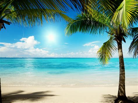 Caribbean Beach Desktop Wallpapers Top Free Caribbean Beach Desktop Backgrounds Wallpaperaccess