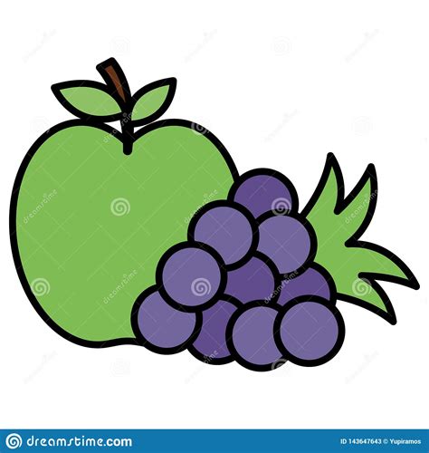 Apple And Grapes Fresh Fruits Stock Vector Illustration Of Ecology