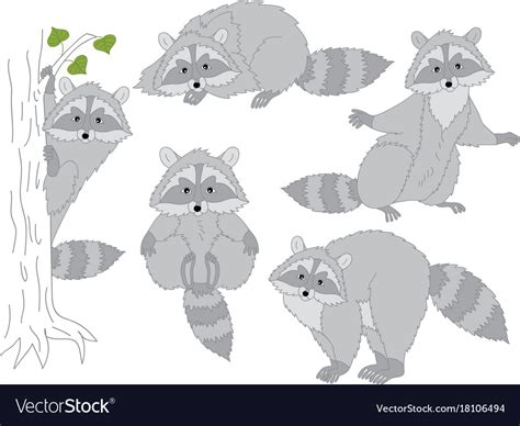 Set Of Cute Cartoon Raccoons Royalty Free Vector Image