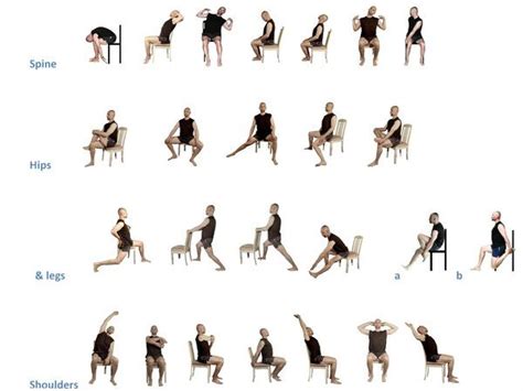 Chair Stretching Exercises Yesnofitness Chair