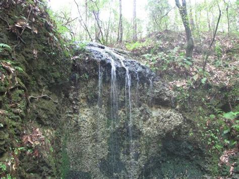 Florida Waterfall Picture Of Falling Waters State Park Chipley