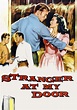 Stranger at My Door streaming: where to watch online?