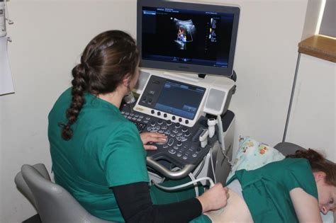 Ultrasound Tech Online Schools Gsa