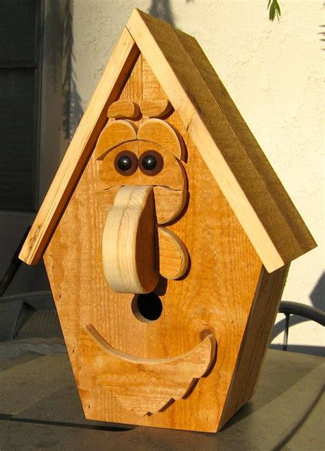 Building Funny Birdhouse Made By Alan Bird House Kits Bird Houses