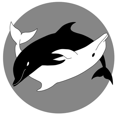 Yin Yang Dolphins — Weasyl