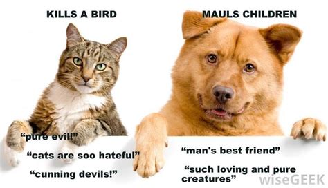 Cats Are Better Than Dogs Dogs Cat Vs Dog Cats