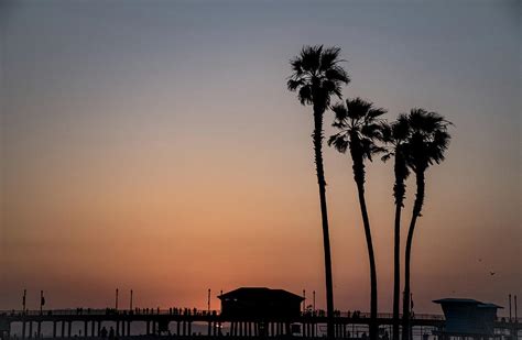 Sunset Palm Trees At Huntington Beach California Photograph By Riley Poore
