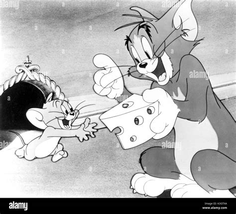 Dibujos Animados De Tom Y Jerry