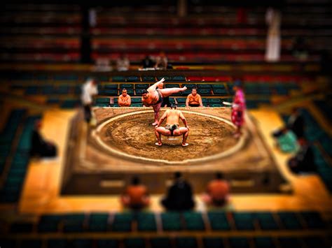 Download Two Sumo Wrestlers Battle It Out For Supremacy Wallpaper