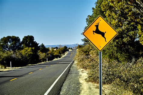 Deer Crossing Road Sign Stock Photo Download Image Now