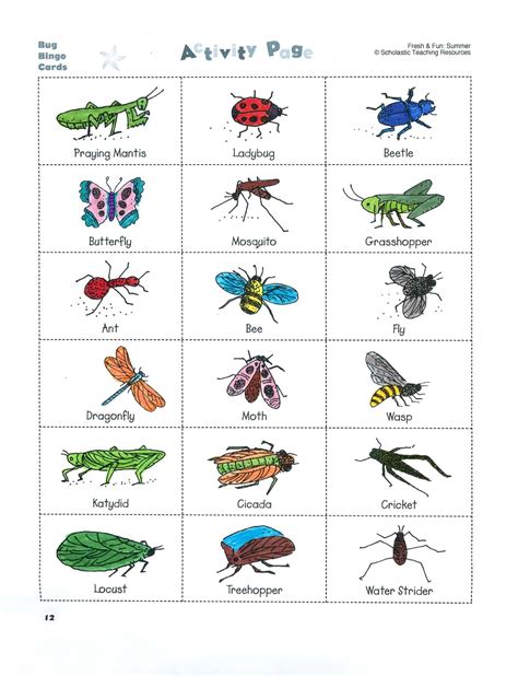 Bug Bingo Printable Free Printable Templates