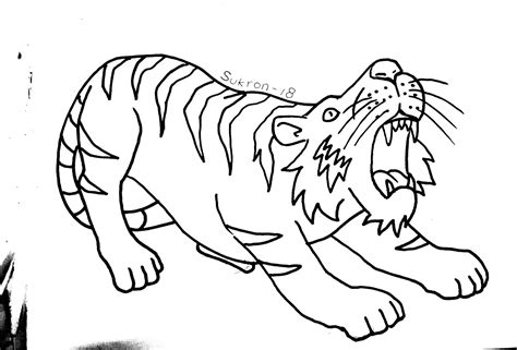 Sketsa Gambar Binatang Untuk Mewarnai Harimau Gambar Mewarnai Binatang