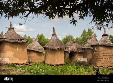 Traditional Mud And Grass Houses In Réo Burkina Faso West Africa