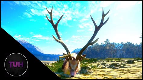 Diamond Sika Deer For My 5000th Harvest Thehunter Call Of The